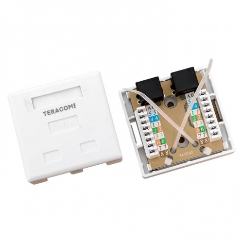 Розетка настенная TERACOM PRO Cat.6 неэкранированная 2 порта RJ-45 Dual IDC белая